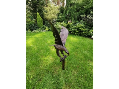 Orzeł 100 cm - 120 cm